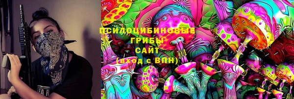 МДПВ Алексеевка