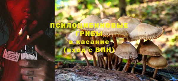 МДПВ Алексеевка